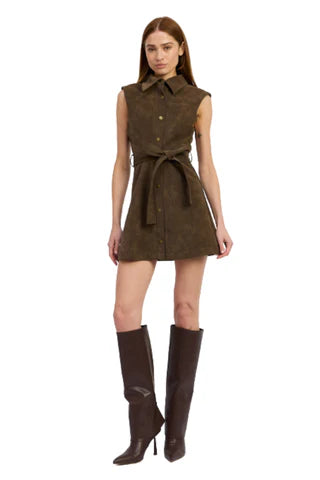 Miller Mini Dress in Brown Suede