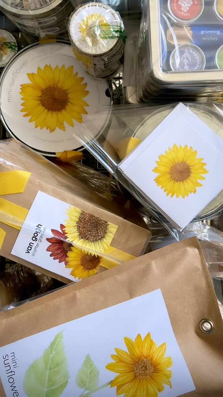 Garden in a Pail | Sunflower lover | Container garden