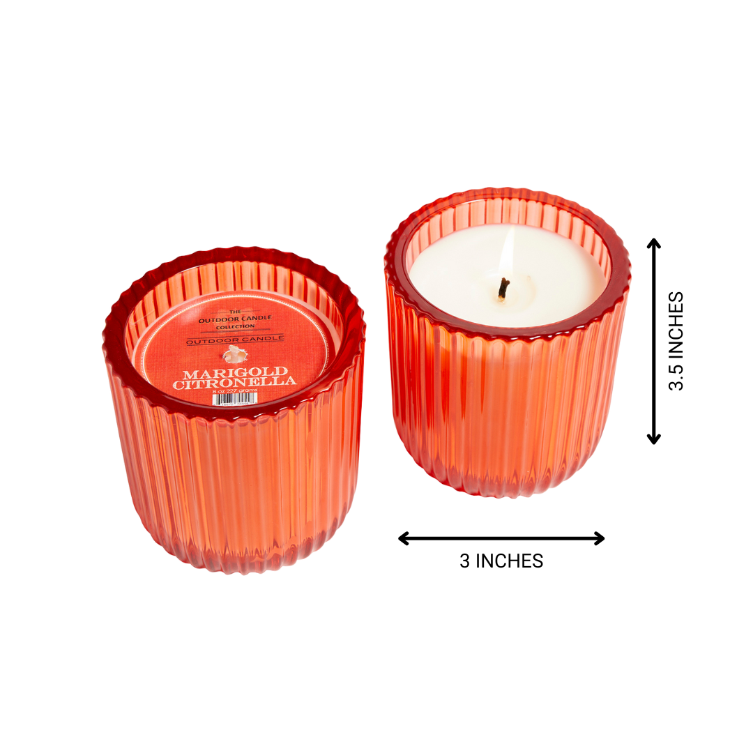 Marigold Citronella 1 Wick Orange Glass Candle 8oz Ctn.6
