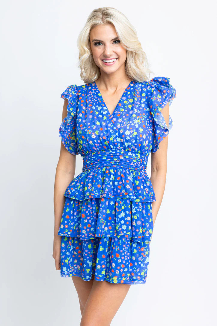 VNeck Ruffle Mini Dress in Summer Fruit