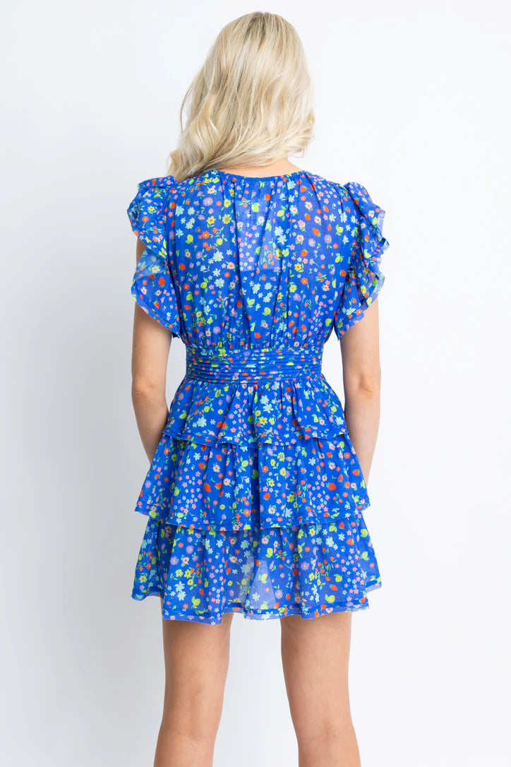 VNeck Ruffle Mini Dress in Summer Fruit