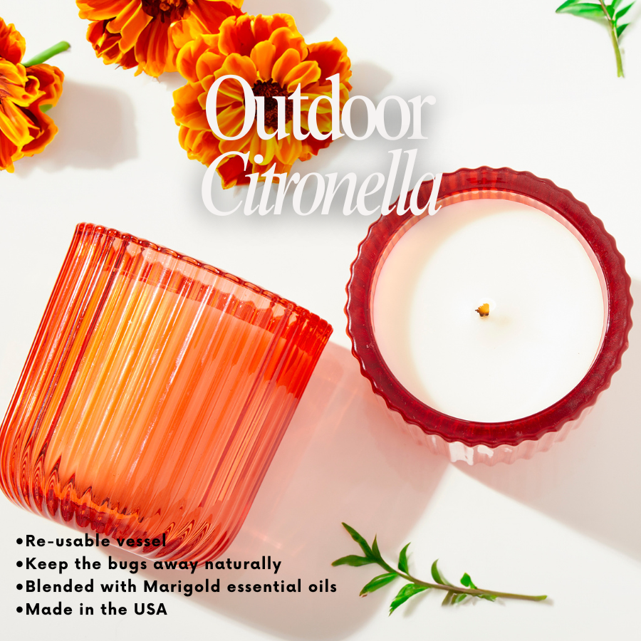 Marigold Citronella 1 Wick Orange Glass Candle 8oz Ctn.6