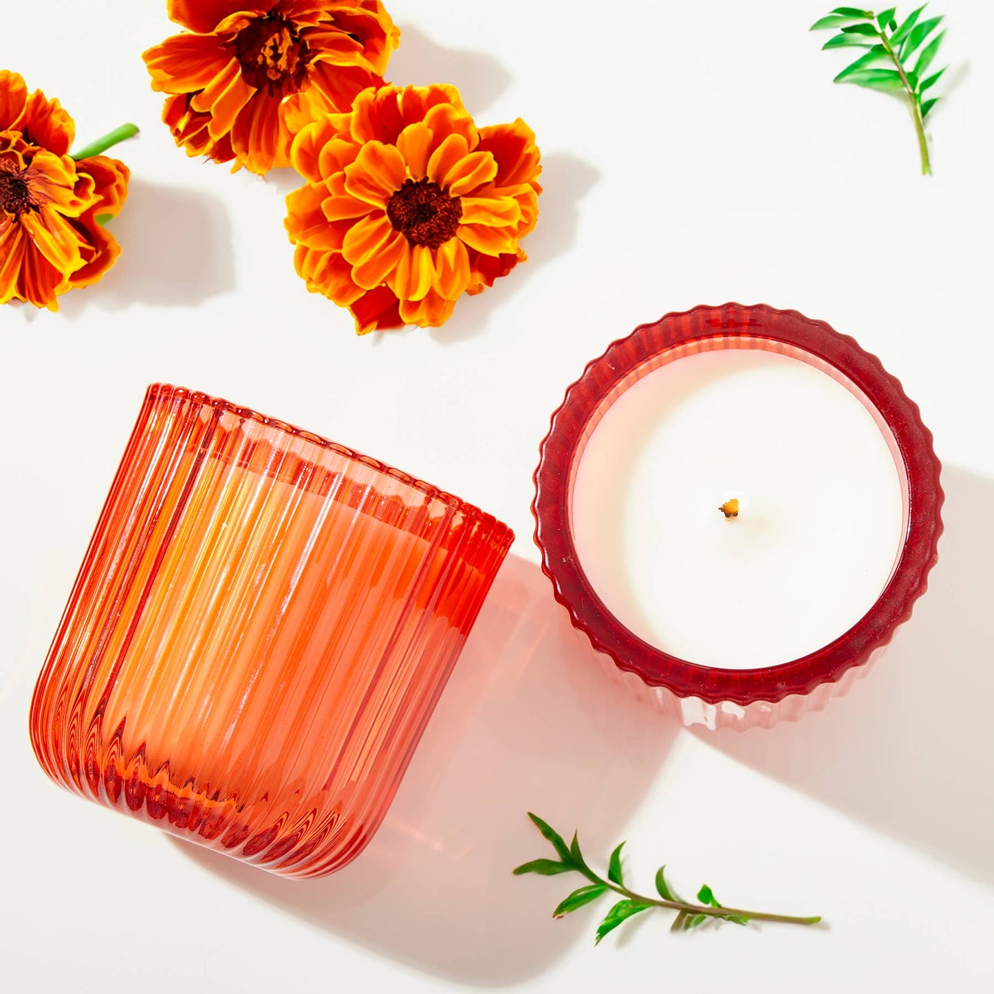 Marigold Citronella 1 Wick Orange Glass Candle 8oz Ctn.6