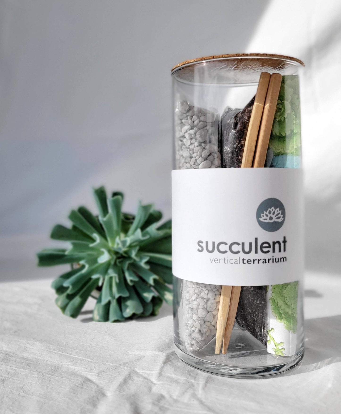 POTTING SHED Succulent Terrarium | Corporate Gift idea | Welcome Gift