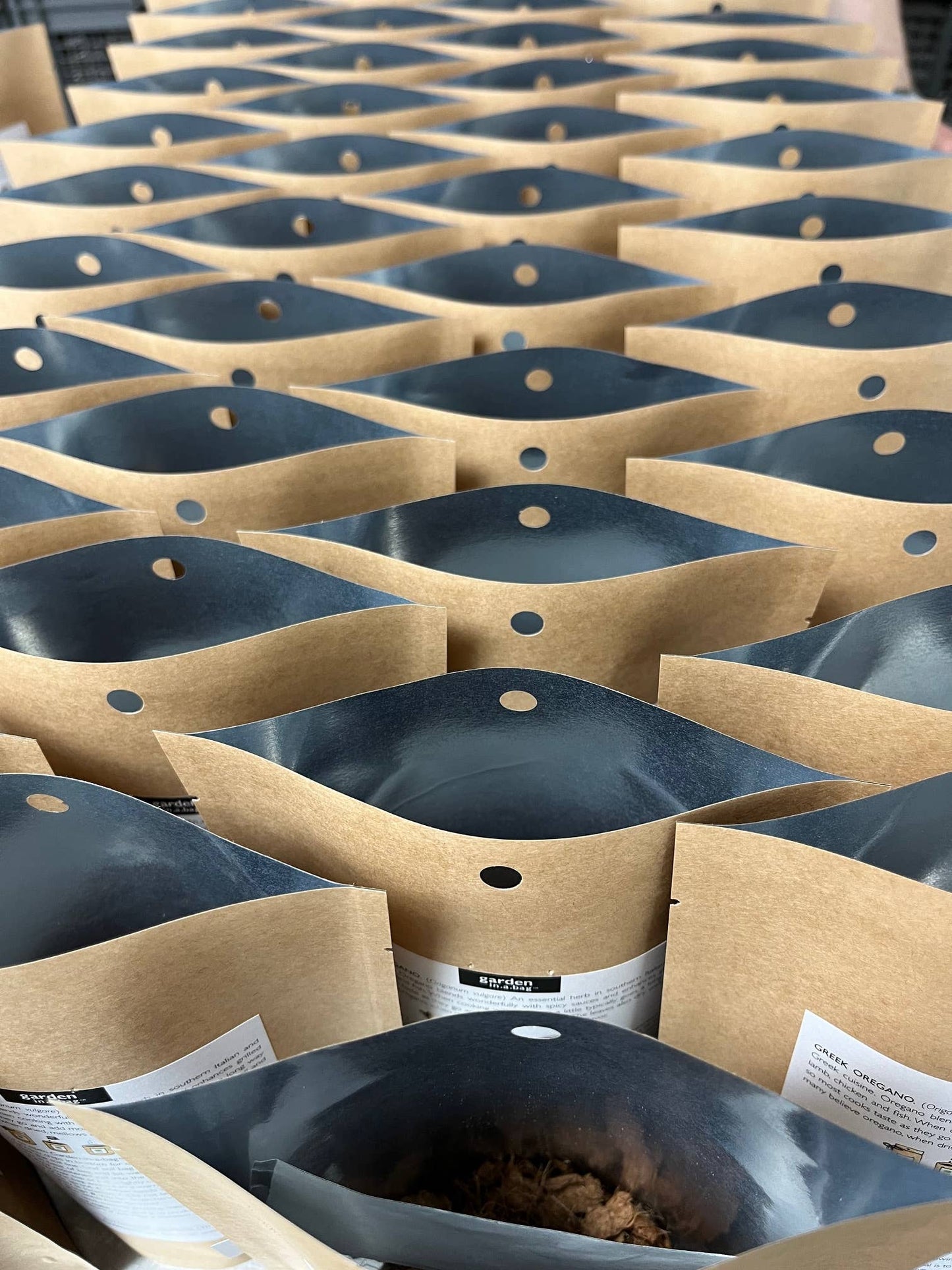 POTTING SHED Garden in a Bag | Snapdragon | Flower Lover | Best Seller