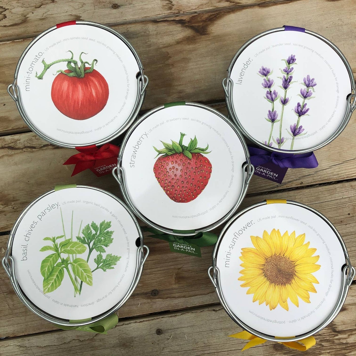 Garden in a Pail | Sunflower lover | Container garden
