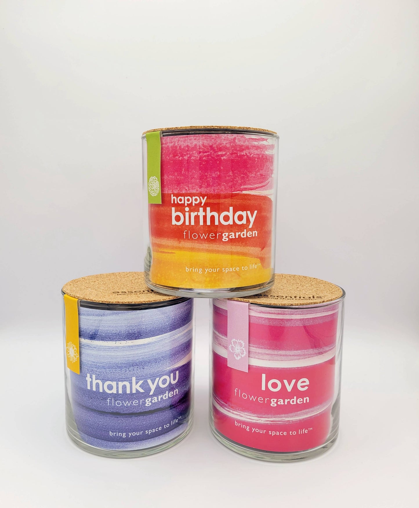 POTTING SHED Essential | Happy Birthday Flower Garden | Best Seller