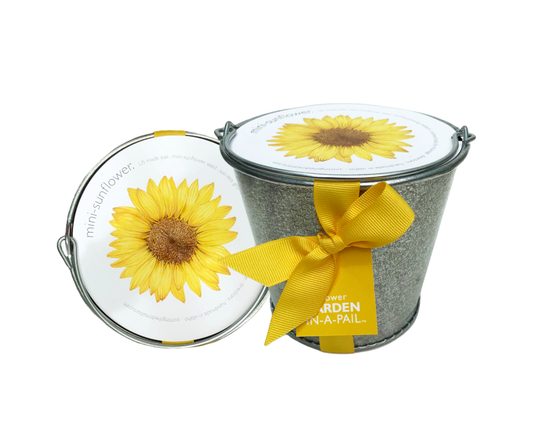 Garden in a Pail | Sunflower lover | Container garden