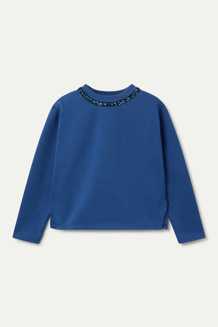 Sequin Crewneck Sweatshirt