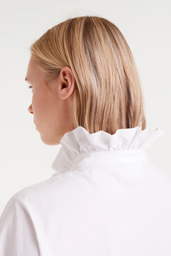 Ruffled Collar Trim Blouse