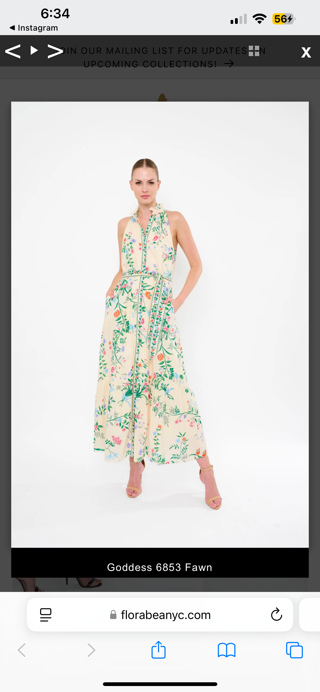 Fawn Dress in Goddess