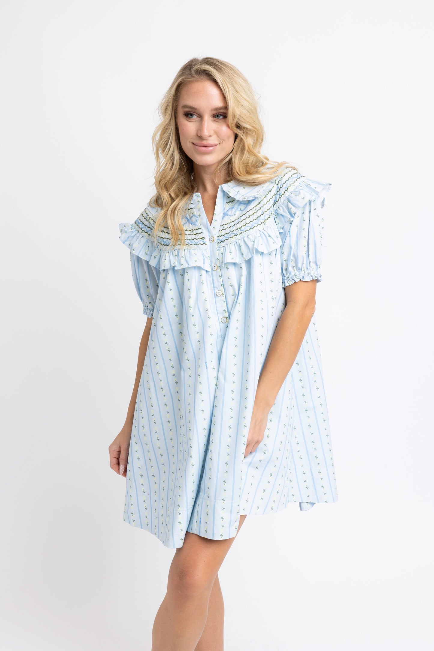 Floral Stripe Peterpan Short Dress
