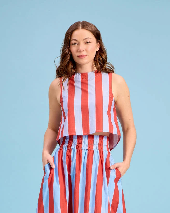 Pavilion Skirt in Hearth Stripe