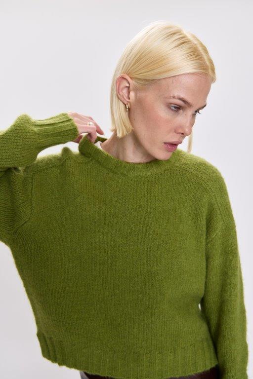 Adina Everyday Sweater in Pea Green