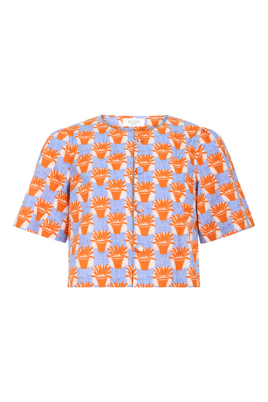 Heidi Top in Macetas
