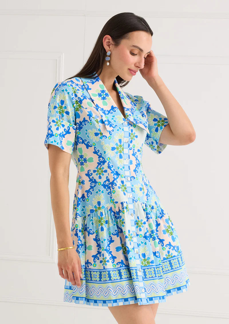 Julia Mini Dress in Blue Clover Canvas