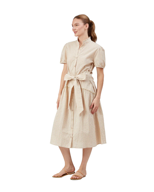 Julie Dress in Tan Stripe