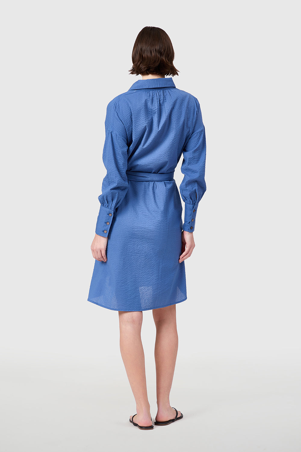 Jane Dress in Colony Blue