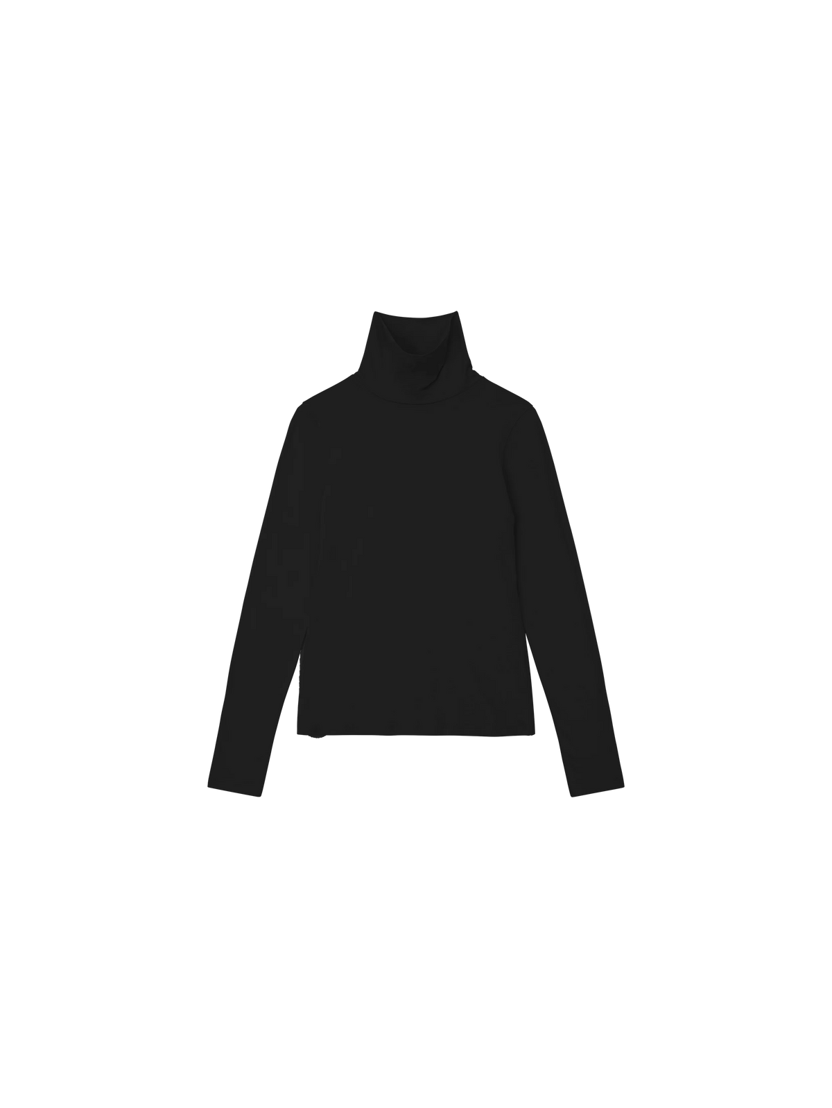 Rene Luxe Turtleneck