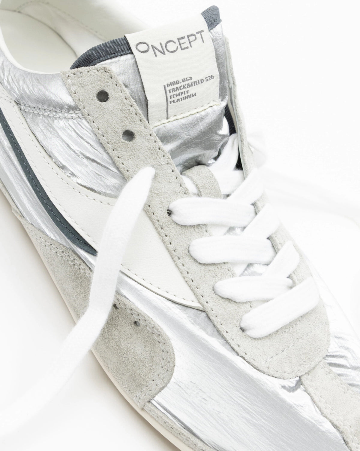 Temple Flat Sneaker in Platinum