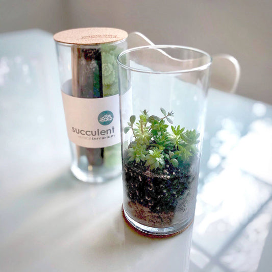 POTTING SHED Succulent Terrarium | Corporate Gift idea | Welcome Gift