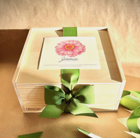 POTTING SHED NEW Flower Cutting Garden Box | Spring | Mother's Day