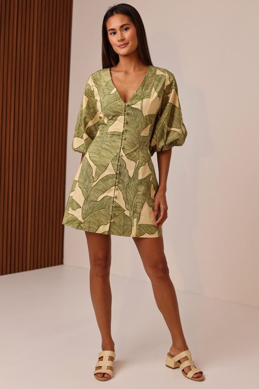 Shayla Seamed Mini Dress in Palmara
